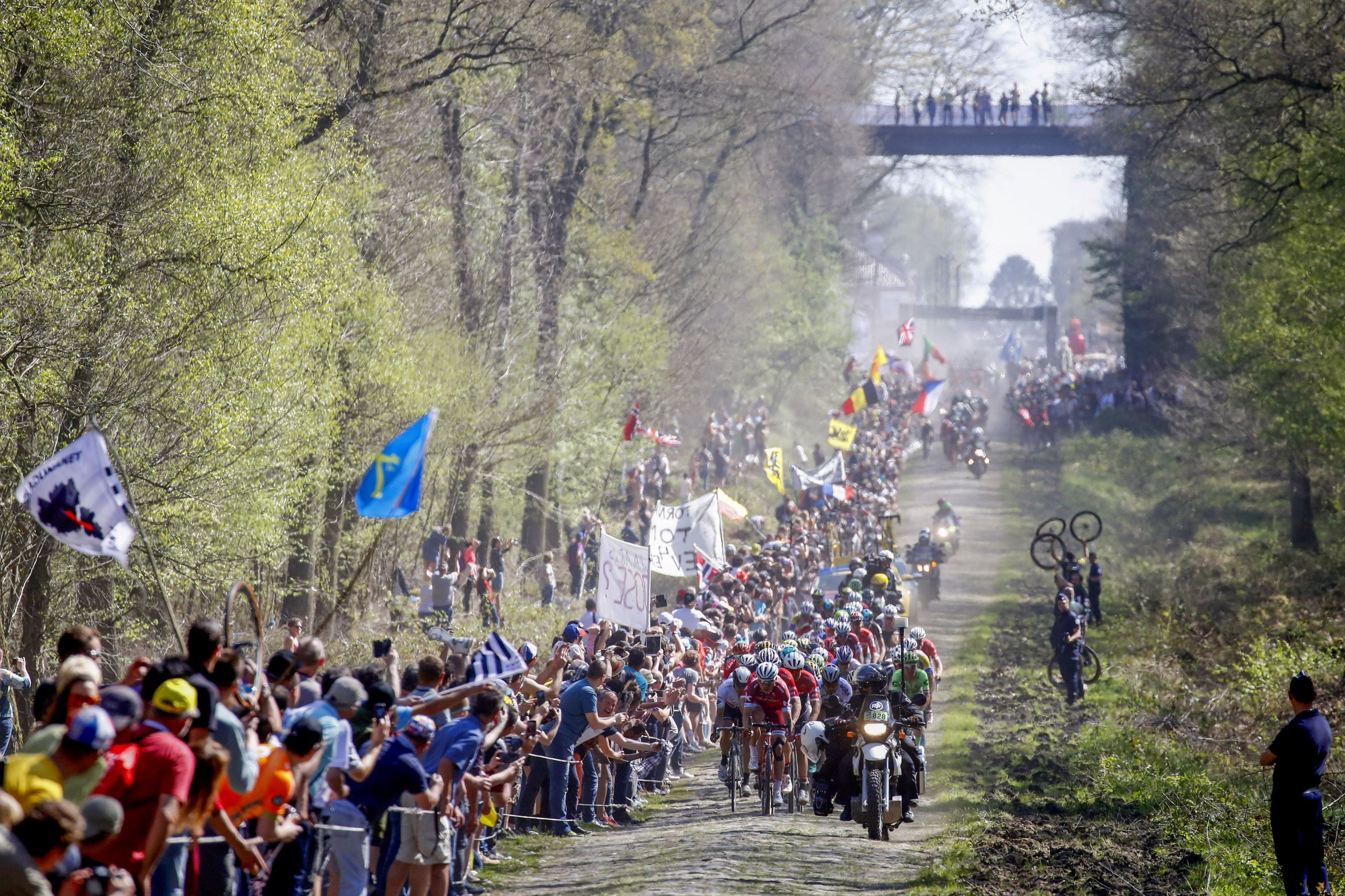 Het Bos van Wallers (en de andere stroken) zijn klaar voor ParijsRoubaix na grondige ontmossing Het Bos van Wallers (en de andere stroken) zijn klaar voor ParijsRoubaix na grondige ontmossing