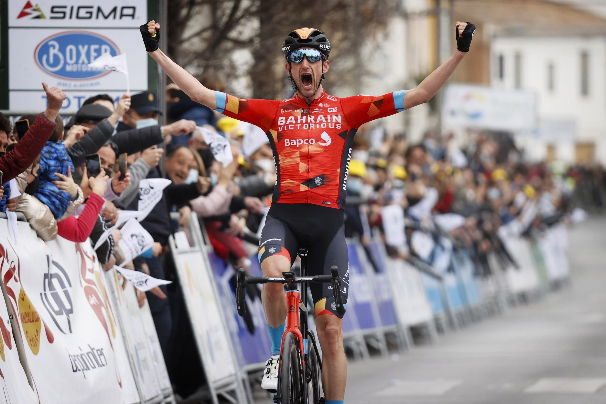 Poels