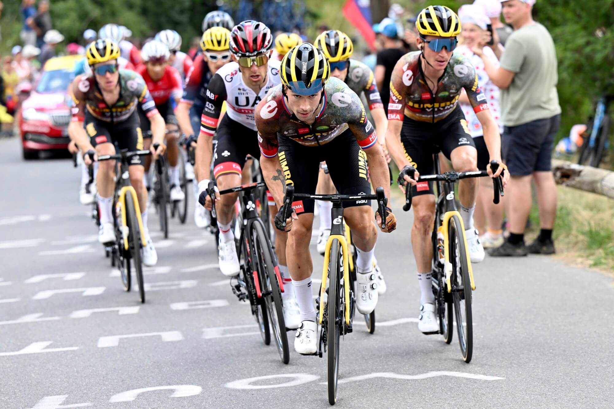 Roglic